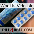 What Is Vidalista 40